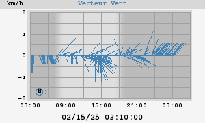 Wind Vector